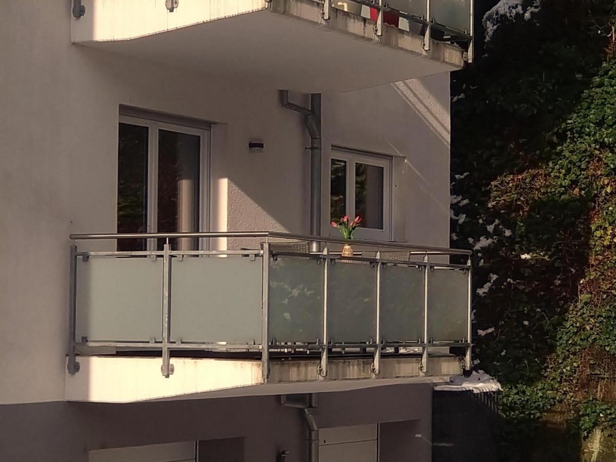 Ferienwohnung Am Wolfsweg Merzig Exterior foto